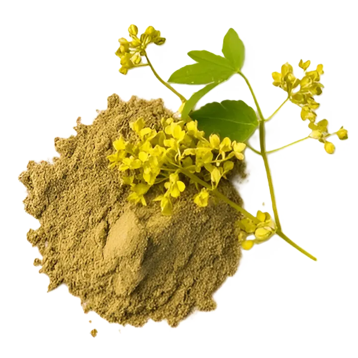 asafoetida